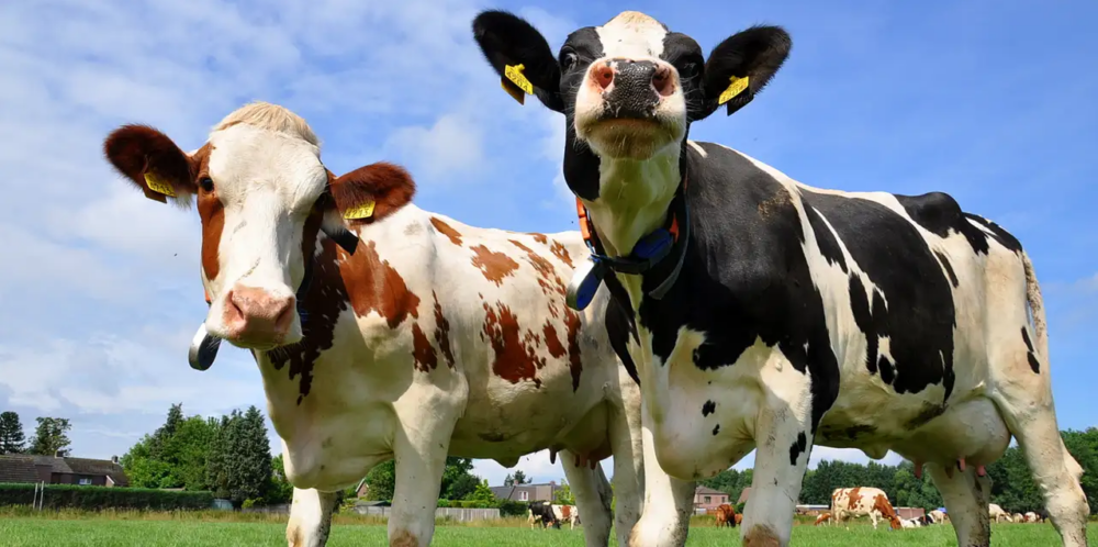 Capture Record toename methaan in 2021